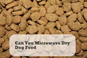 can you microwave dry dog food