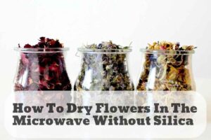 how to dry flowers in the microwave without silica