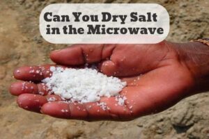 can you dry salt in the microwave